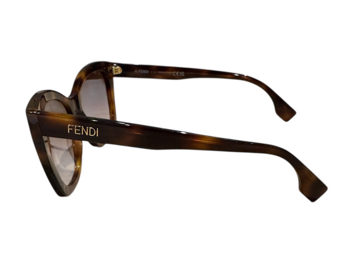 Brun FENDI Lunettes de Soleil, INCLUDES CASE