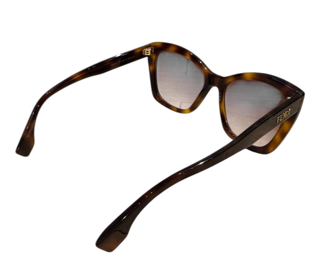 Brun FENDI Lunettes de Soleil, INCLUDES CASE